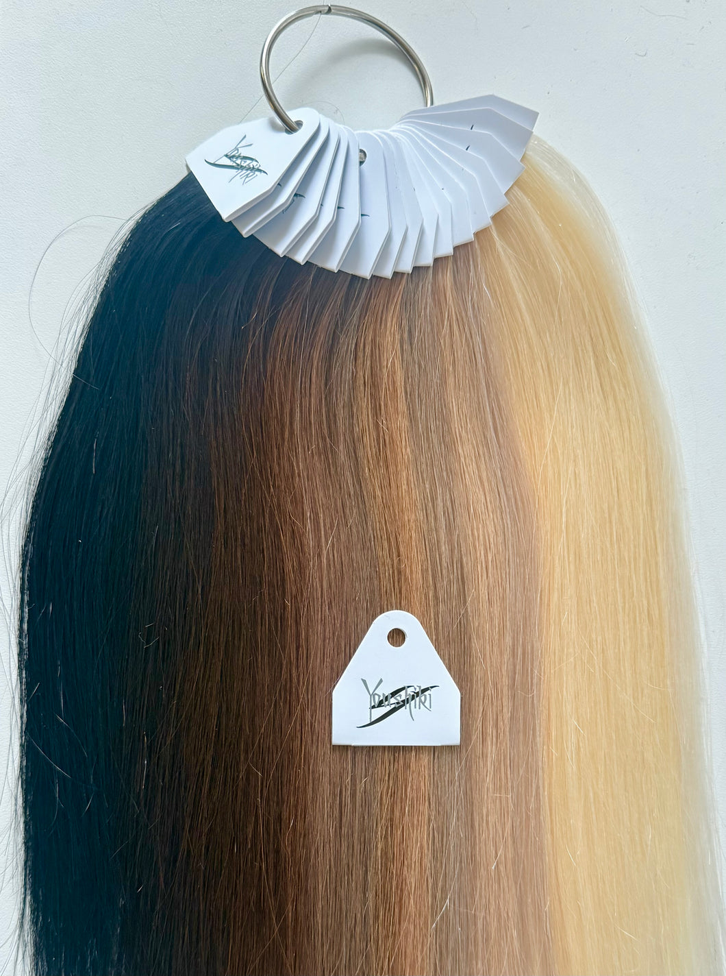 Colour Swatch for Ring Tape Weft Micro Halo