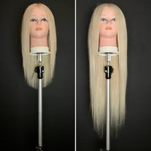 Fasthair 9 piece 320gram Clip in Human Hair 22”