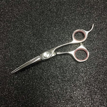 5” Scissors Professional Bird Slider